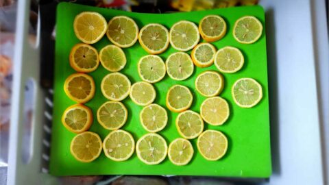 frozen lemon slices